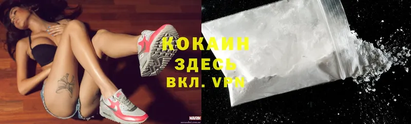 Cocaine Fish Scale  где продают   Ковров 